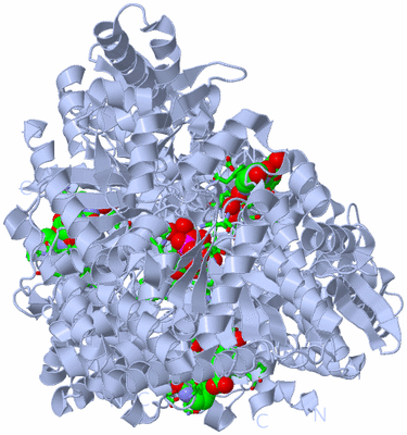 Image Biol. Unit 1 - sites