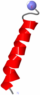 Image NMR Structure - model 1