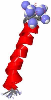 Image NMR Structure - all models