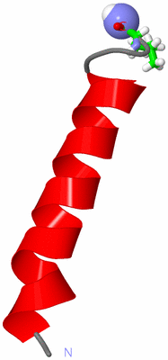 Image NMR Structure - model 1, sites