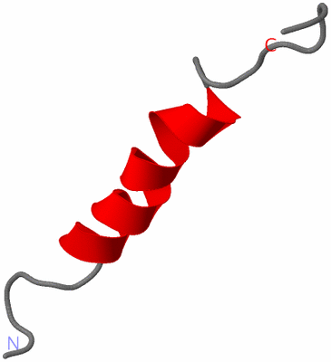 Image NMR Structure - model 1