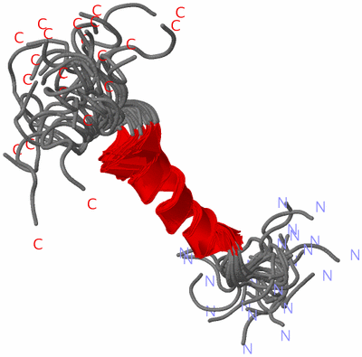 Image NMR Structure - all models