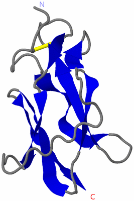 Image NMR Structure - model 1