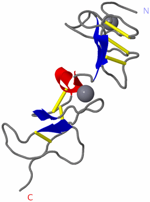 Image NMR Structure - model 1