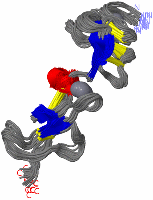 Image NMR Structure - all models