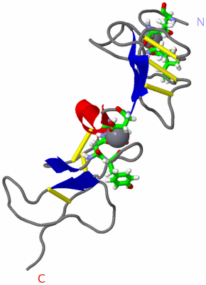 Image NMR Structure - model 1, sites