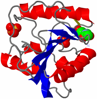 Image Asym./Biol. Unit