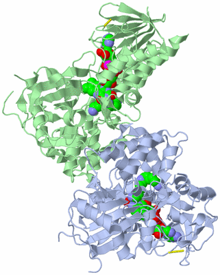 Image Asym./Biol. Unit