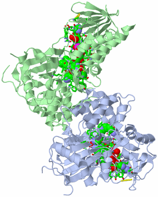 Image Asym./Biol. Unit - sites