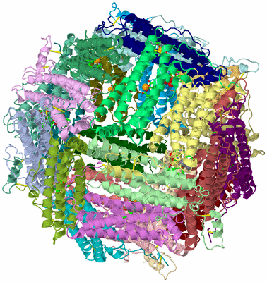 Image Asym./Biol. Unit - sites