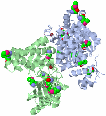 Image Biological Unit 1