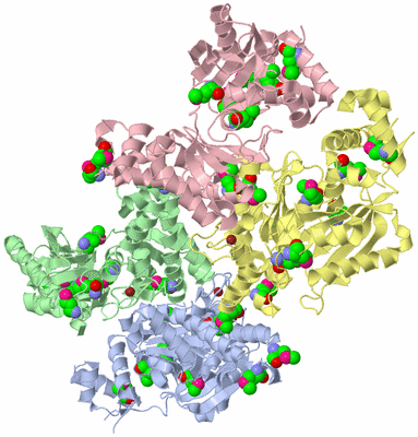 Image Biological Unit 3