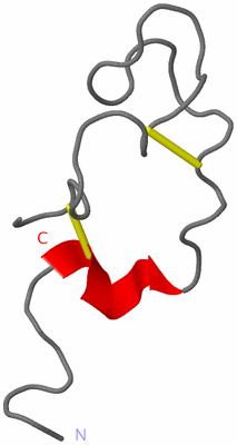 Image NMR Structure - model 1