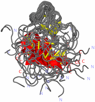 Image NMR Structure - all models