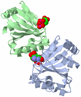 Image Asymmetric Unit