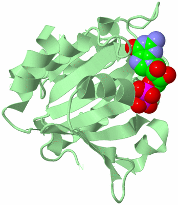 Image Biological Unit 2