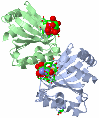 Image Asym. Unit - sites