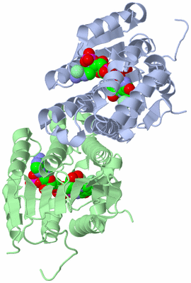 Image Biological Unit 1