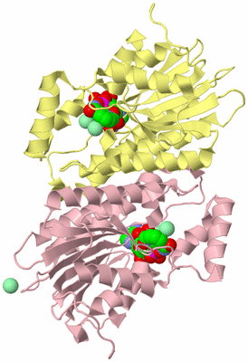 Image Biological Unit 2