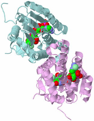 Image Biological Unit 3