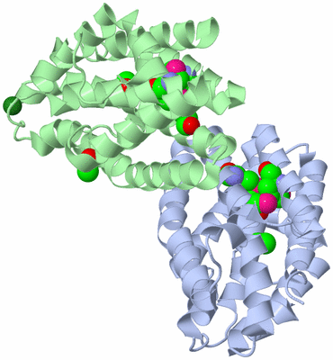 Image Asym./Biol. Unit