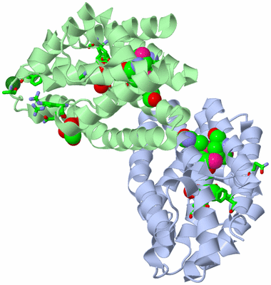 Image Asym./Biol. Unit - sites