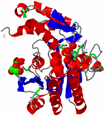 Image Asym. Unit - sites