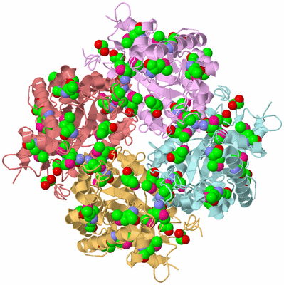 Image Biological Unit 2