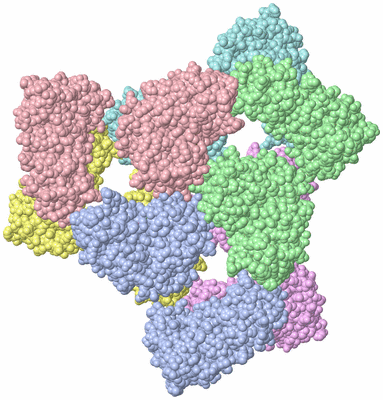 Image Asym./Biol. Unit