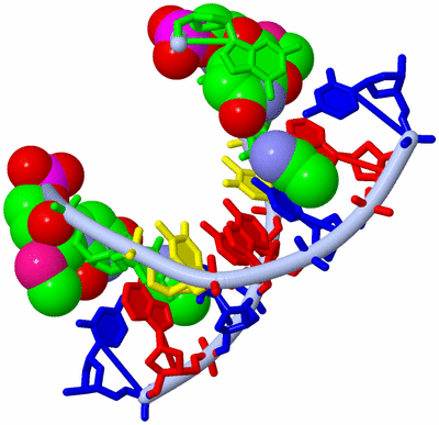 Image Biological Unit 1