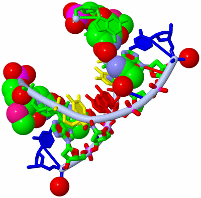 Image Biol. Unit 1 - sites