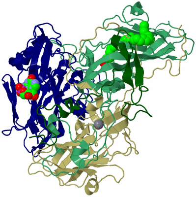 Image Asymmetric Unit