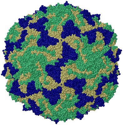 Image Biological Unit 1