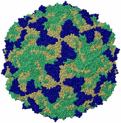 Image Biol. Unit 1 - sites
