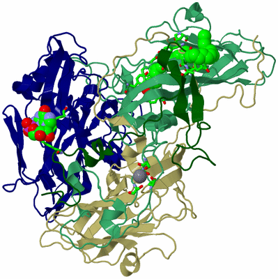 Image Asym. Unit - sites