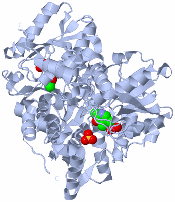 Image Biological Unit 2