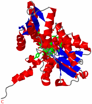 Image Asym. Unit - sites