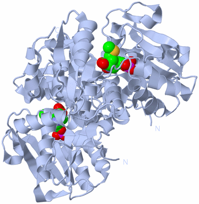 Image Biological Unit 2