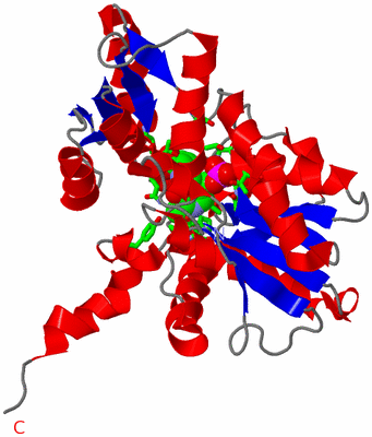 Image Asym. Unit - sites