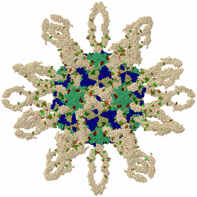 Image Biol. Unit 1 - sites
