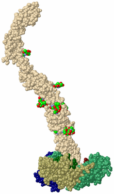 Image Asym. Unit - sites
