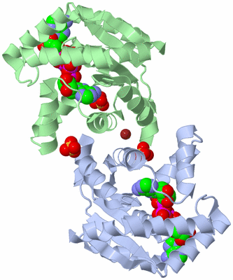 Image Biological Unit 1