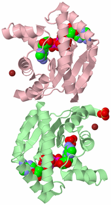 Image Biological Unit 2