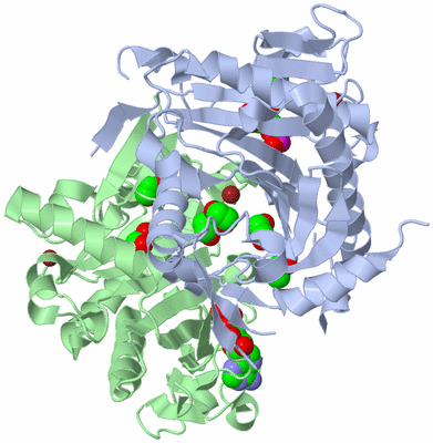 Image Asym./Biol. Unit