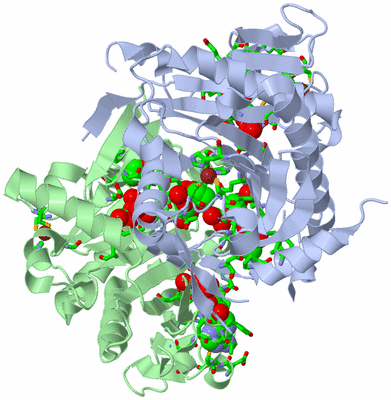 Image Asym./Biol. Unit - sites