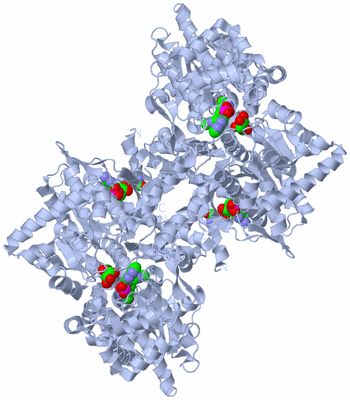 Image Biological Unit 1