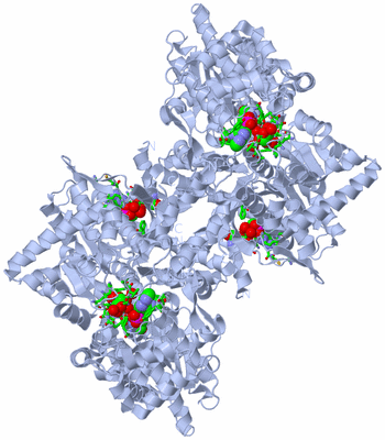 Image Biol. Unit 1 - sites