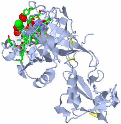 Image Asym./Biol. Unit - sites