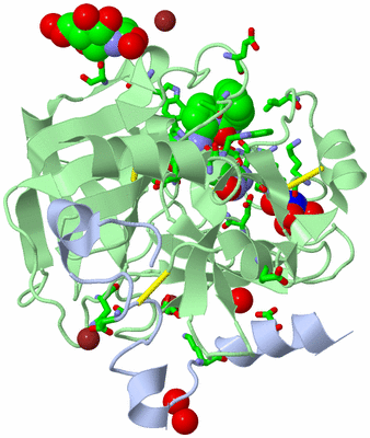 Image Biol. Unit 1 - sites