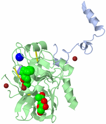 Image Biological Unit 2